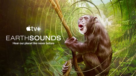 titta earthsounds online|Apple TV+ reveals the world premiere and trailer for new docuseries “Ea.